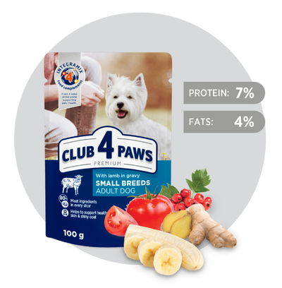 CLUB 4 PAWS Set Premium "With Lamb In Gravy" (80g 5+1 Free)