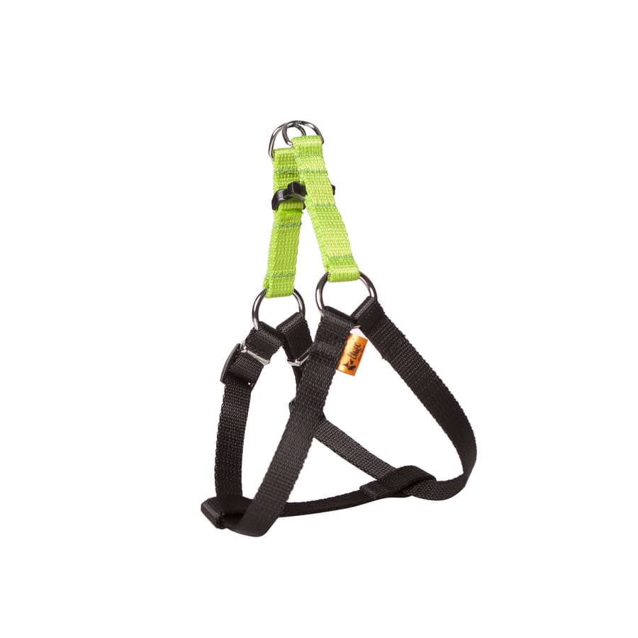 Dingo Energy Harness Green