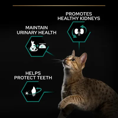Purina Pro Plan Sterilised Renal Plus Adult Salmon 1.5kg