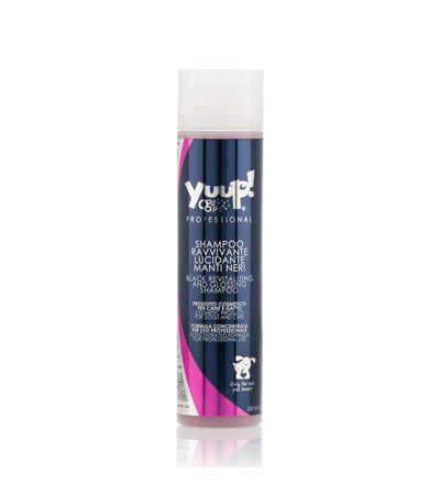 Yuup! Black Revitalizing & Glossing Shampoo – 250 ml