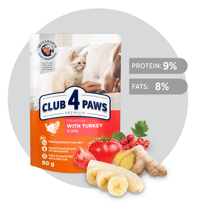 CLUB 4 PAWS Premium for kittens "With turkey in jelly". Сomplete pouches