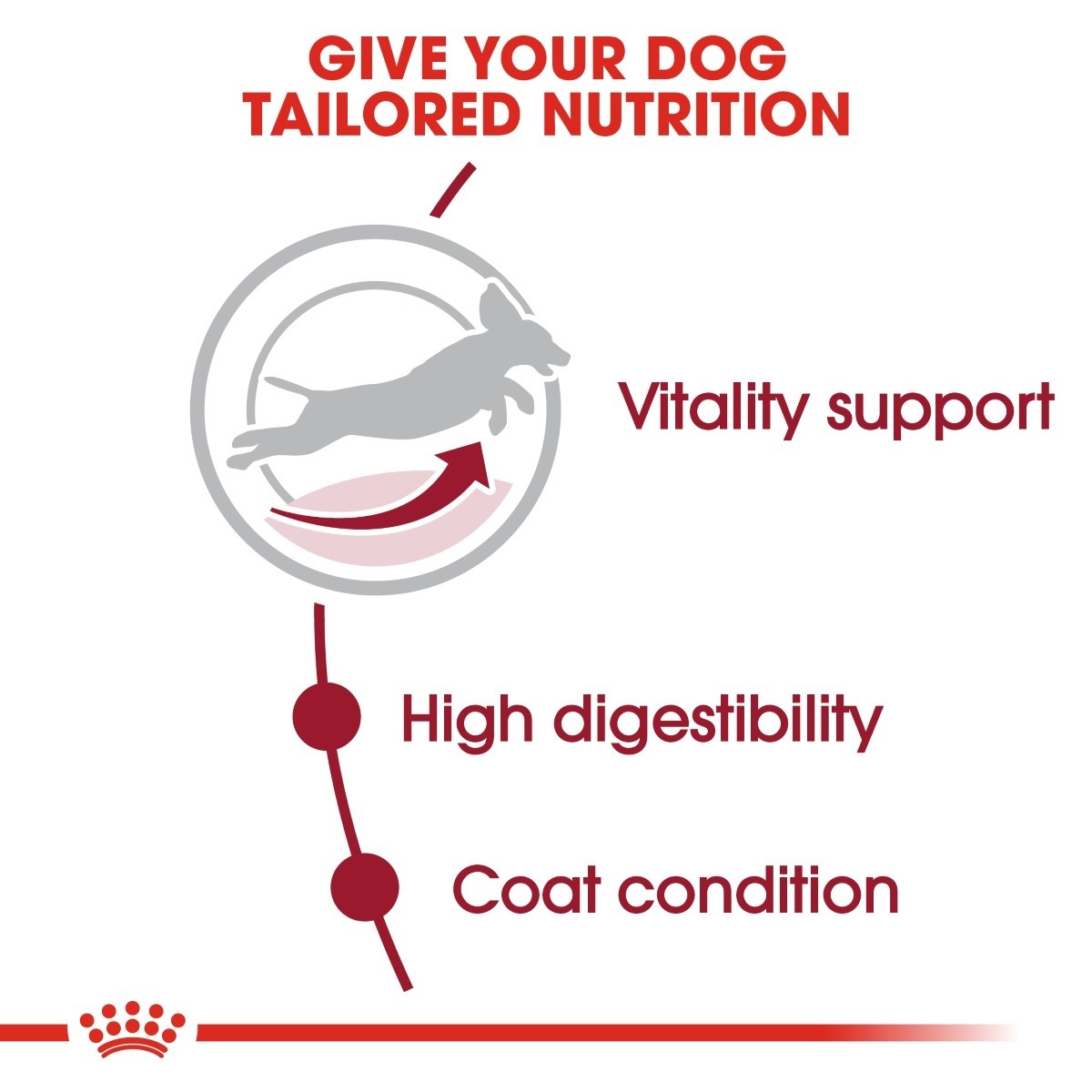 Royal Canin Medium Adult 7+ Dry Dog Food - Targa Pet Shop
