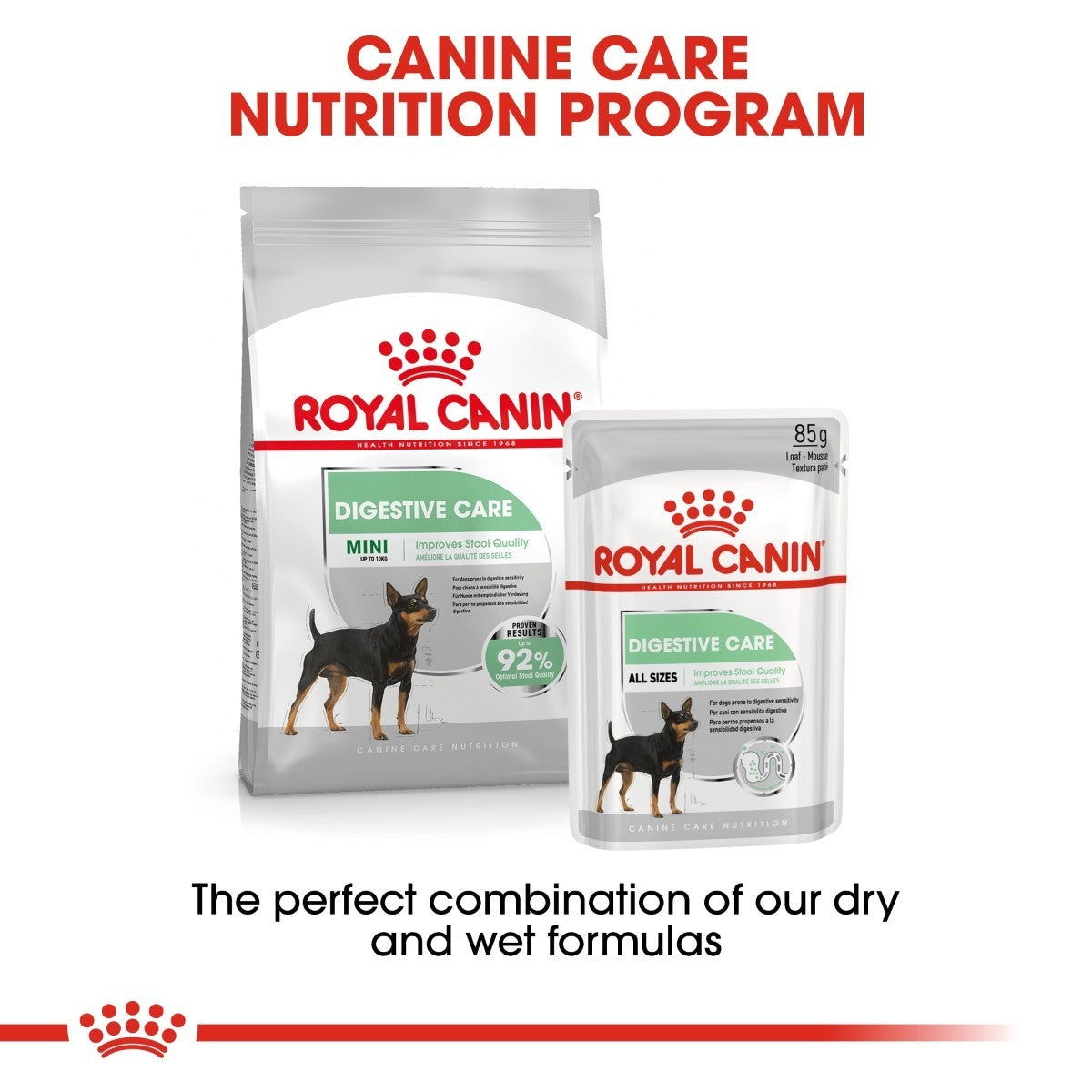 Royal Canin Mini Digestive Care Dry Dog Food - Targa Pet Shop