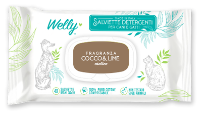 Welly Coconut and Lime Cleansing Wipes