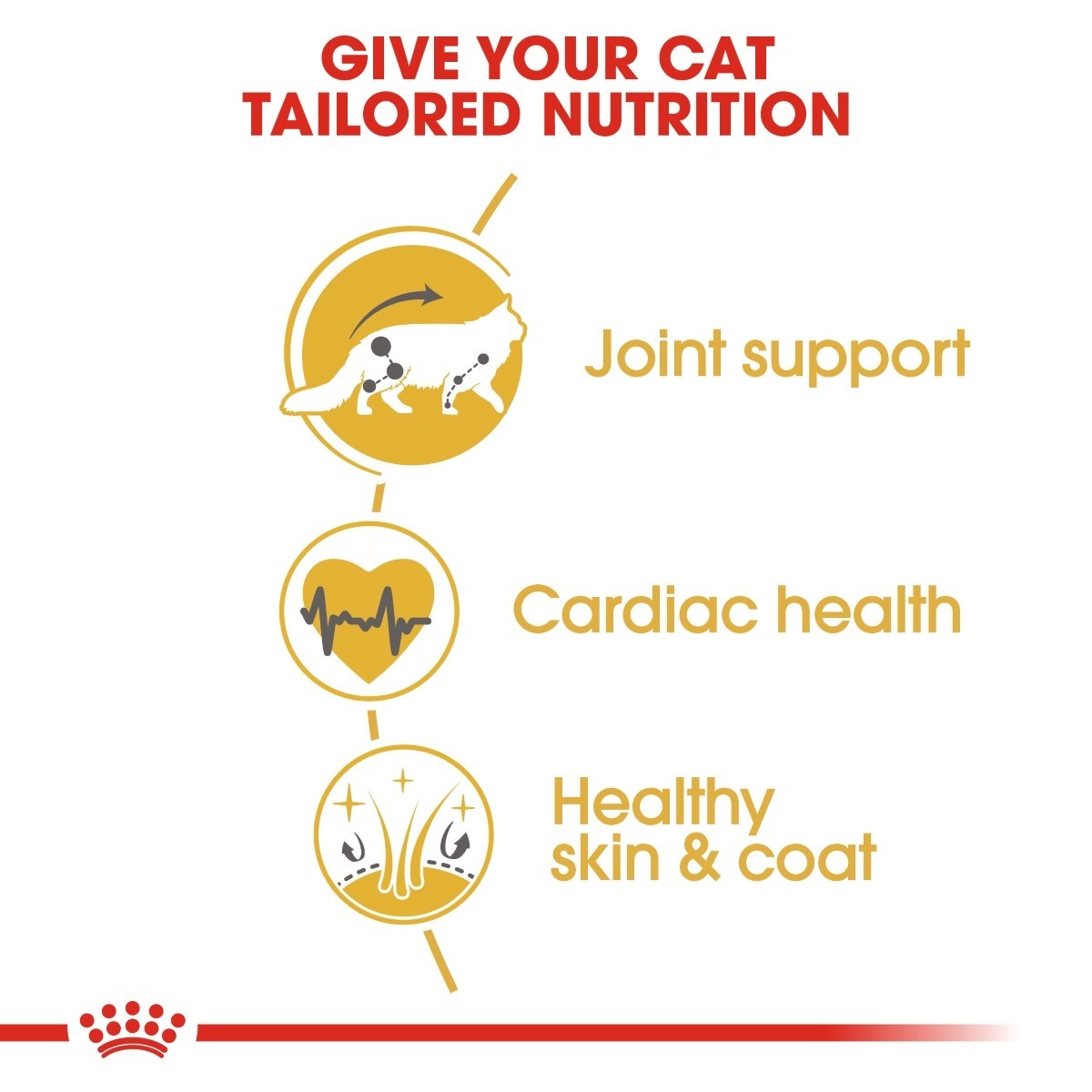 Royal Canin Maine Coon Adult Cat Food - Targa Pet Shop