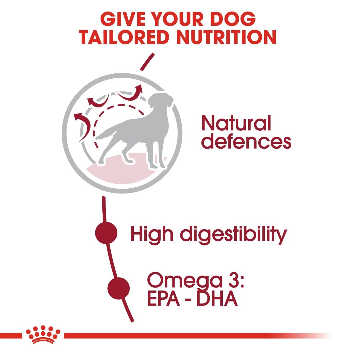 Royal Canin Medium Adult Dry Dog Food - Targa Pet Shop