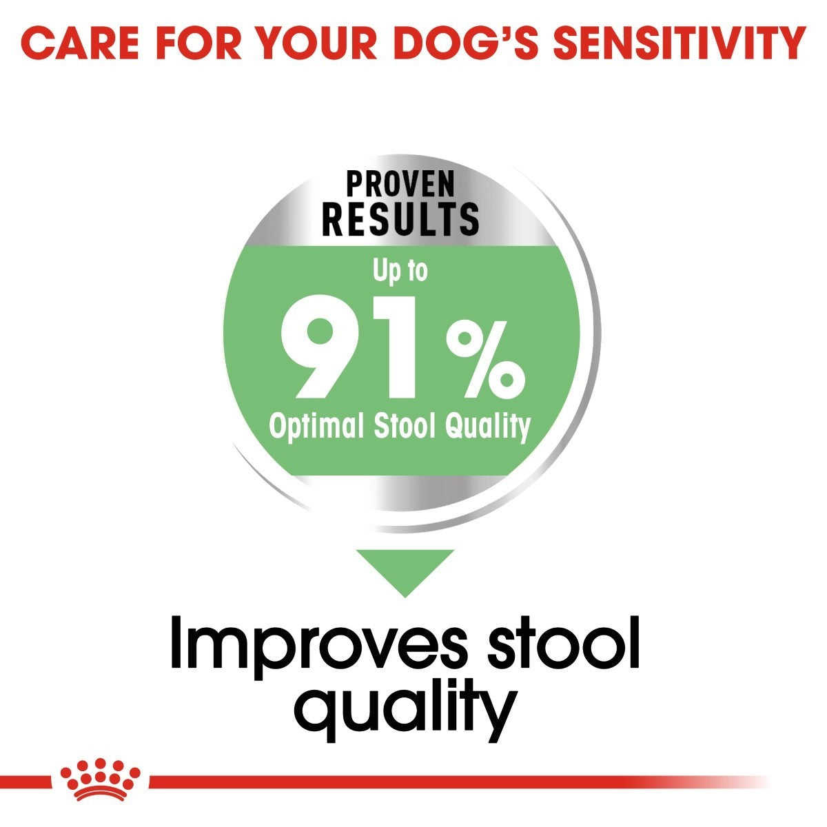 Royal Canin Medium Digestive Care Dry Dog Food - Targa Pet Shop