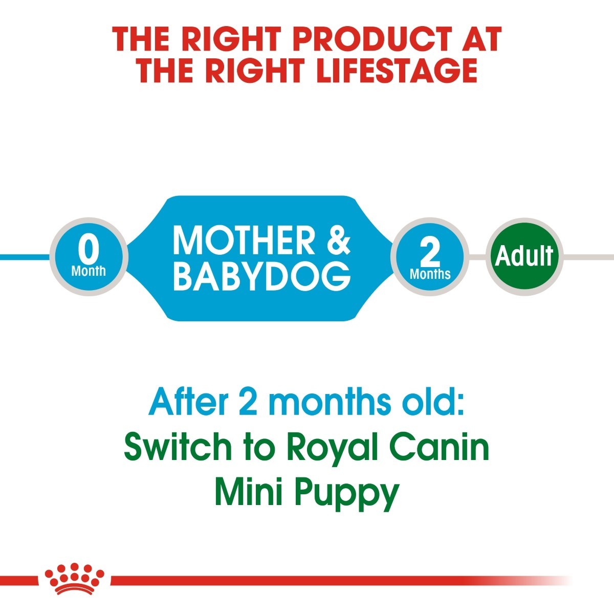 Royal Canin Mini Starter Mother & Baby - Targa Pet Shop