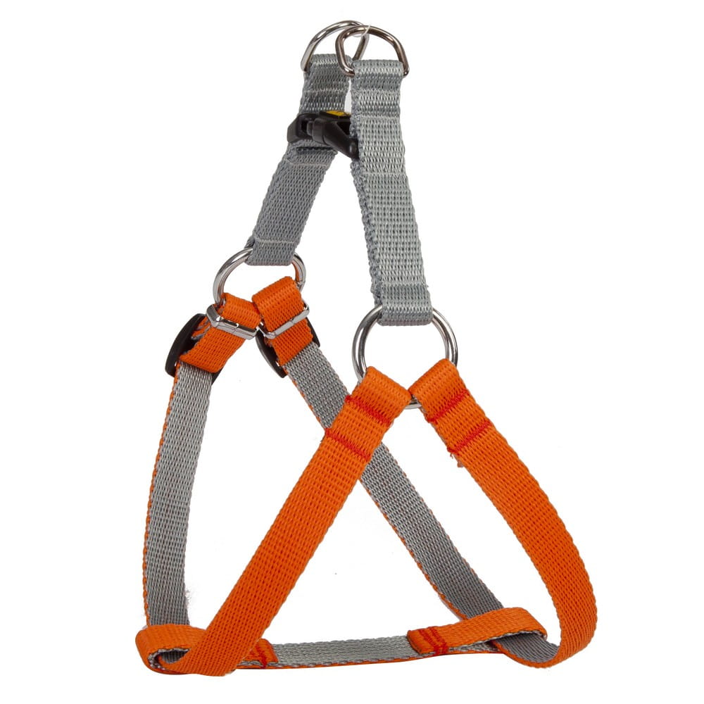 Dingo Silver Energy Harness - Targa Pet Shop