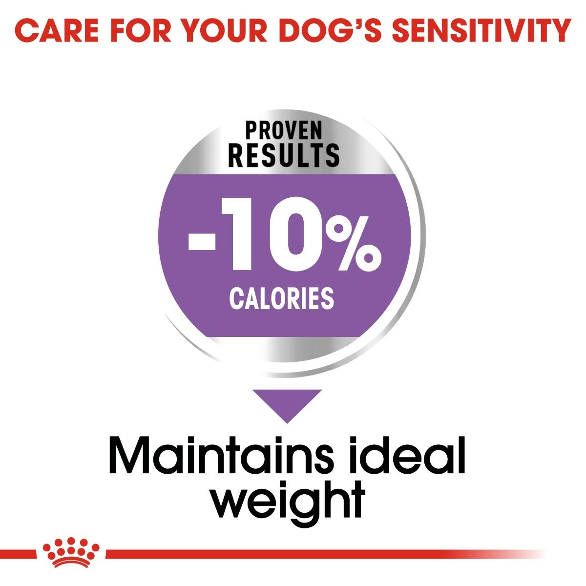 Royal Canin Medium Sterilised Care Dry Dog Food - Targa Pet Shop