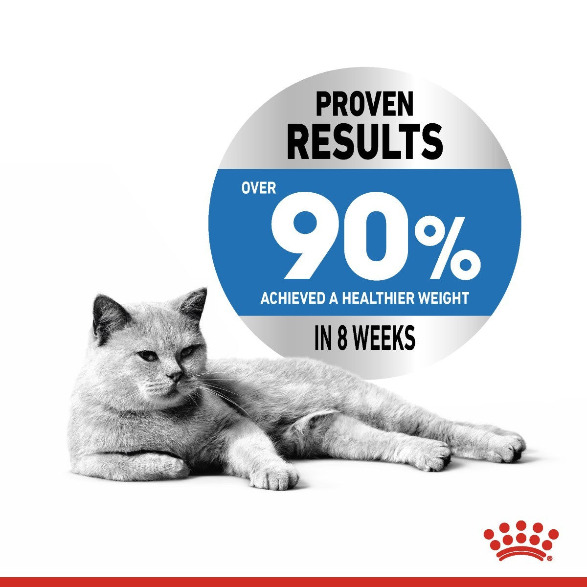 Royal Canin Light Weight Care Pouches in Jelly Adult Cat Food