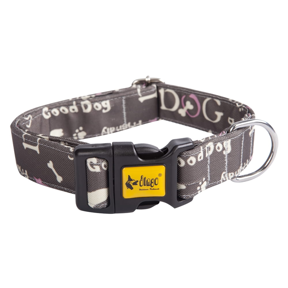 Dingo Colorful Dog America Collar - Targa Pet Shop