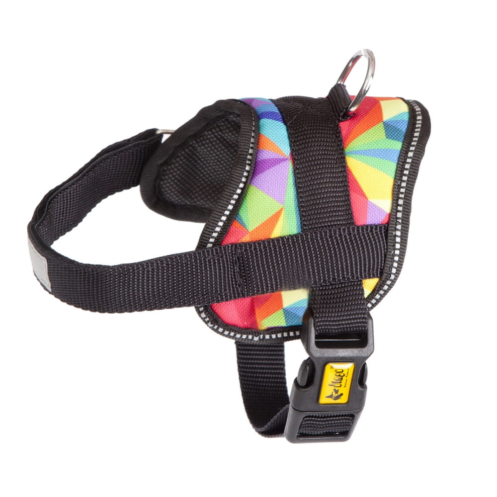 Dingo Colourful America Strong Harness - Targa Pet Shop