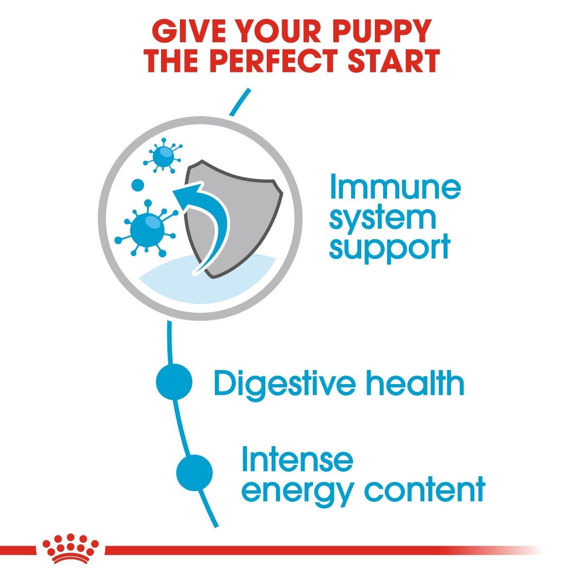 Royal Canin Mini Puppy Wet Dog Food in Gravy - Targa Pet Shop