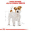 Royal Canin Jack Russell Dry Adult Dog Food - Targa Pet Shop