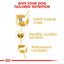 Royal Canin Boxer Dry Adult Dog Food - Targa Pet Shop