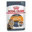 Royal Canin Intense Beauty Care Pouches in Gravy Adult Cat Food - Targa Pet Shop