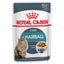 Royal Canin Hairball Care Pouches in Gravy Adult Cat Food - Targa Pet Shop