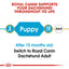 Royal Canin Dachshund Puppy Food - Targa Pet Shop