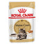 Royal Canin Maine Coon Pouches Adult Cat Food - Targa Pet Shop