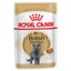 Royal Canin British Shorthair Pouches Adult Cat Food - Targa Pet Shop