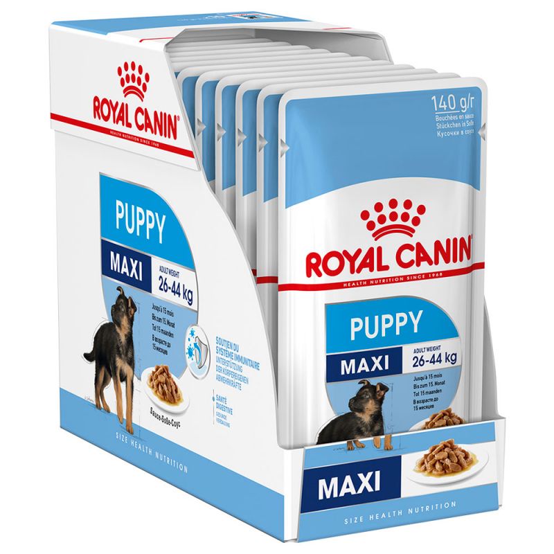 Royal Canin Maxi Puppy Wet Dog Food in Gravy - Targa Pet Shop