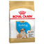 Royal Canin Bulldog Dry Puppy Food - Targa Pet Shop