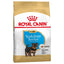 Royal Canine Yorkshire Terrier Puppy Dry Dog Food - Targa Pet Shop