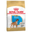 Royal Canin Boxer Puppy Dry Food - Targa Pet Shop