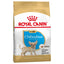 Royal Canin Chihuahua Puppy Dry Food - Targa Pet Shop