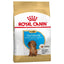 Royal Canin Dachshund Puppy Food - Targa Pet Shop