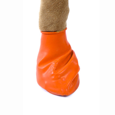 PAWZ XS Size Rubber Boots