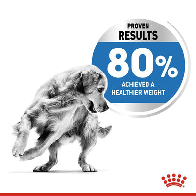 Royal Canin Medium Light Weight Care Dry Dog Food - Targa Pet Shop