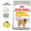 Royal Canin Medium Dermacomfort Dry Dog Food - Targa Pet Shop