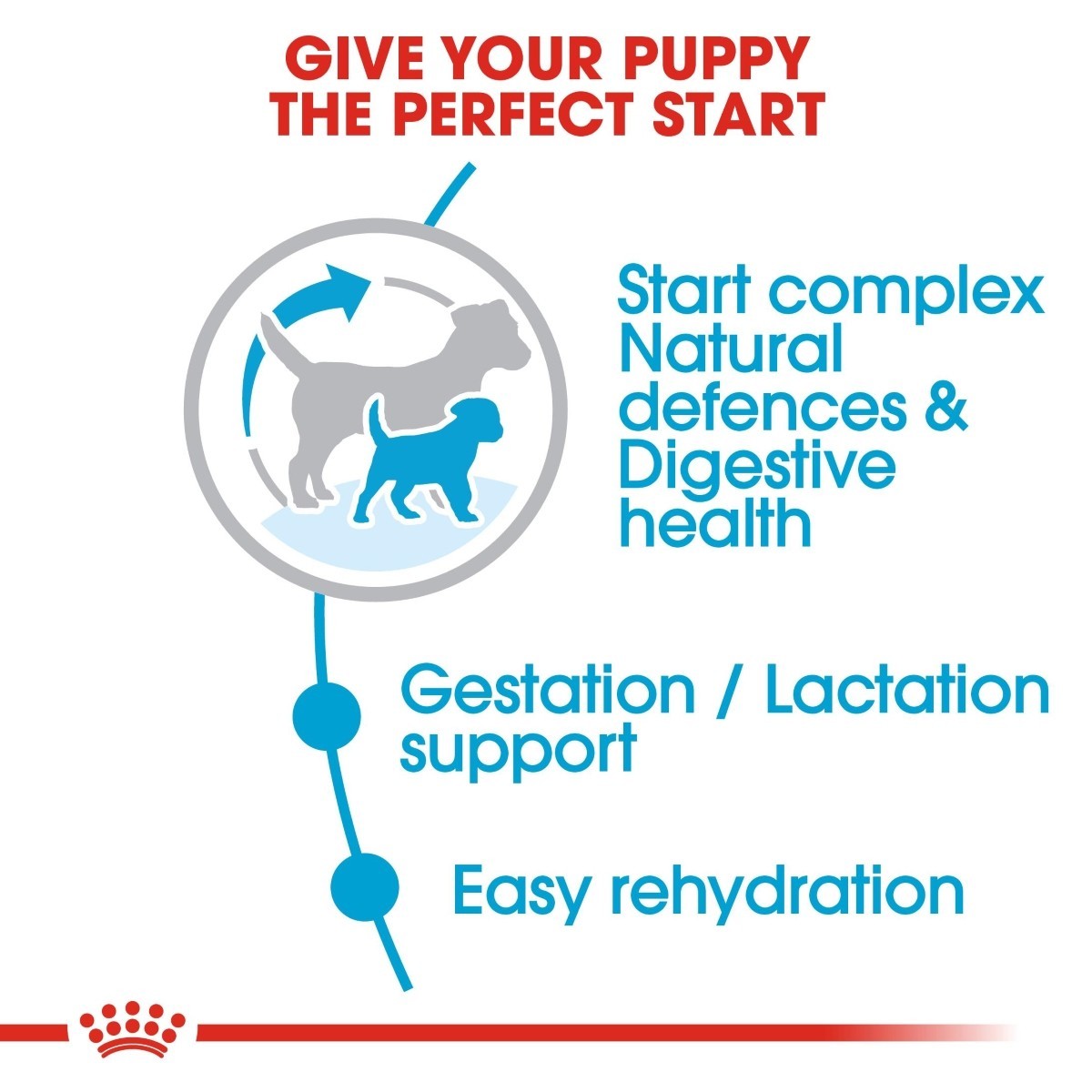 Royal Canin Mini Starter Mother & Baby - Targa Pet Shop