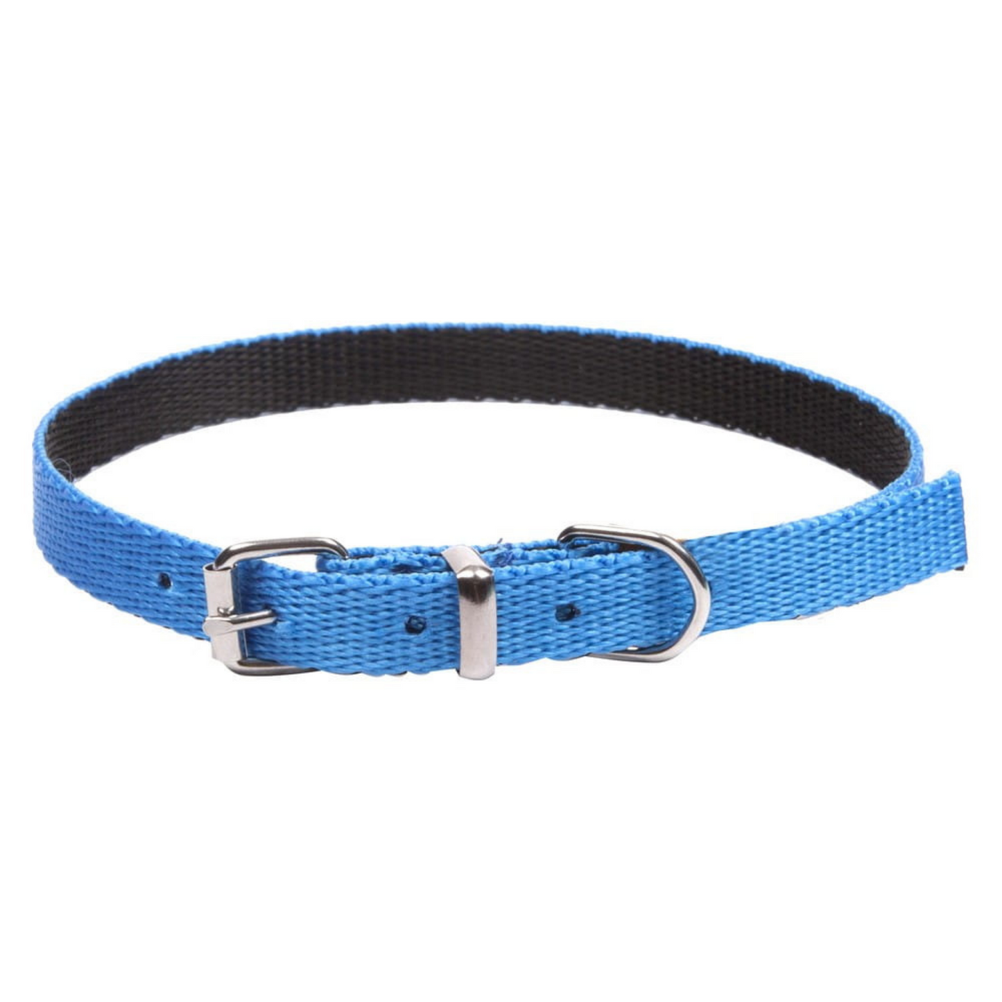 Dingo Energy Dog Collar for Small Dogs Blue