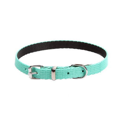 Dingo Energy Dog Collar for Small Dogs Mint