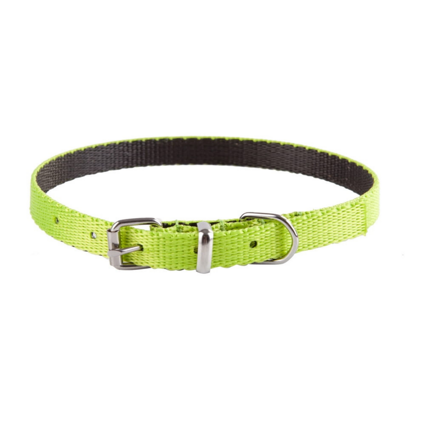 Dingo Energy Dog Collar for Small Dogs Green