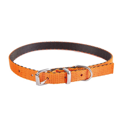 Dingo Energy Dog Collar for Small Dogs Orange