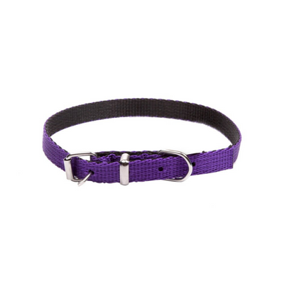 Dingo Energy Dog Collar for Small Dogs Purple