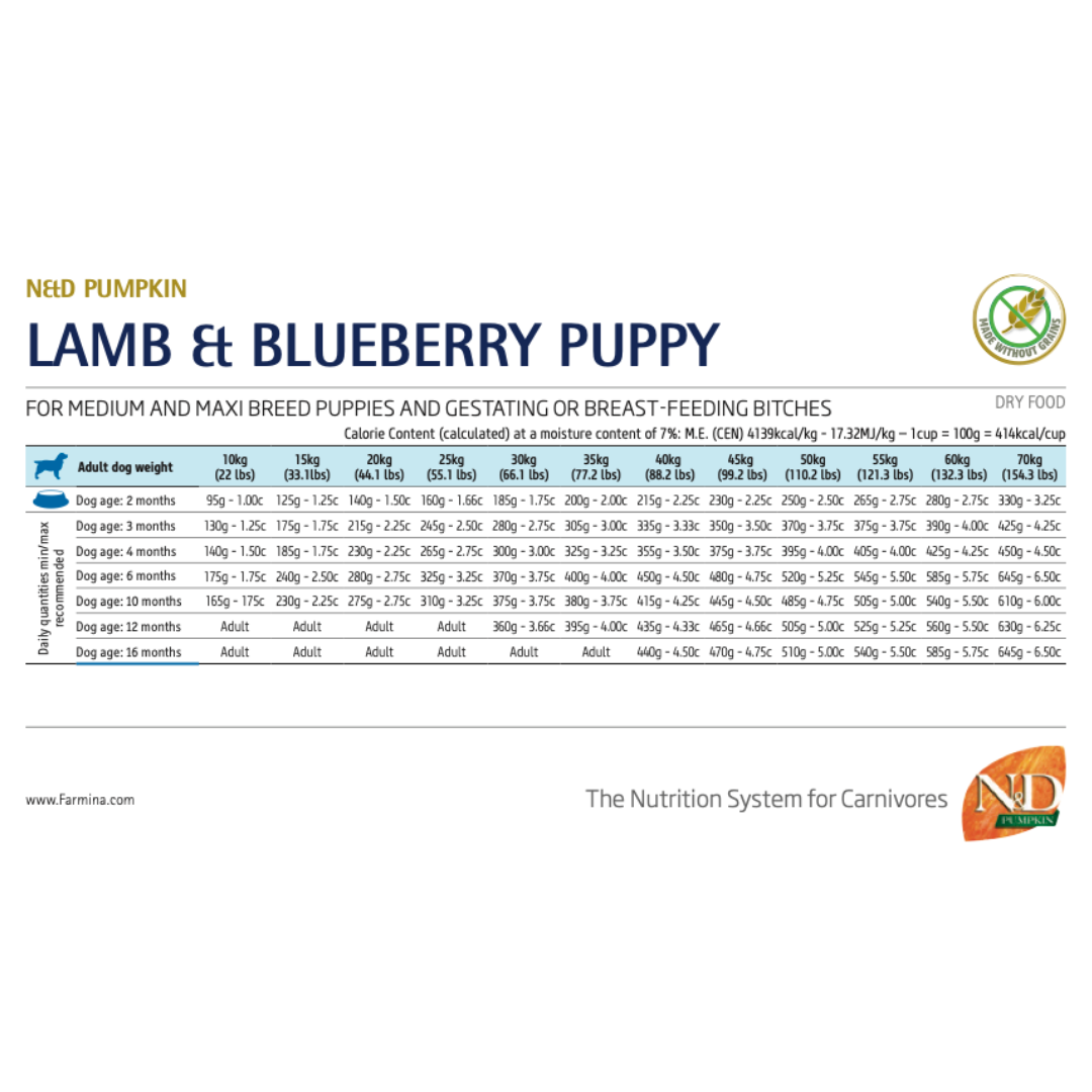 Farmina N&D Pumpkin Puppy Medium & Maxi Lamb & Blueberry