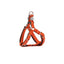 Dingo New York Harness