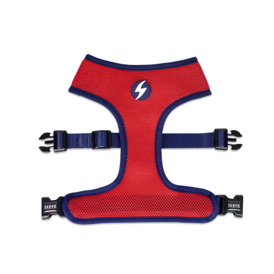 Dashi Stripes3 Red & Blue Neo Mesh Harness