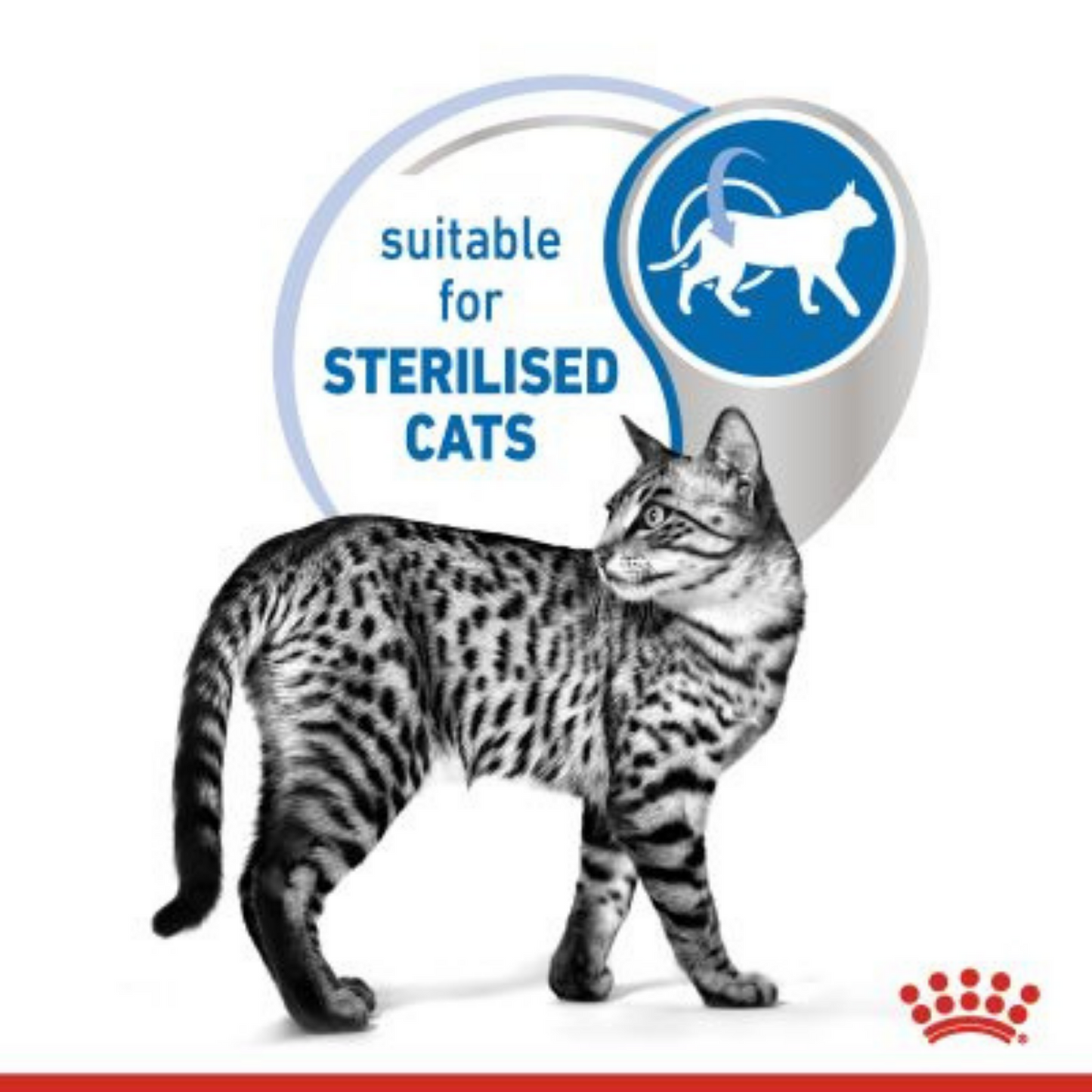 Royal Canin Indoor Sterlised Loaf