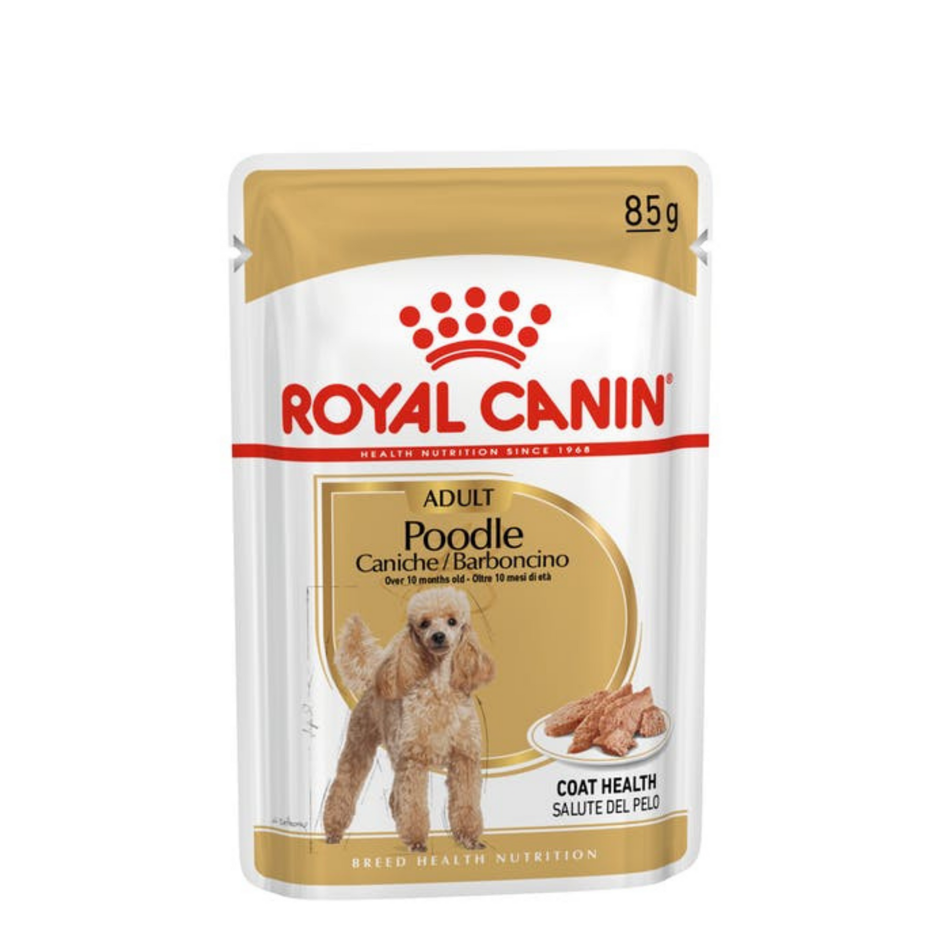 Poodle puppy top royal canin