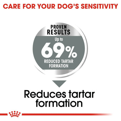Royal Canin Mini Dental Care Dry Dog Food - Targa Pet Shop