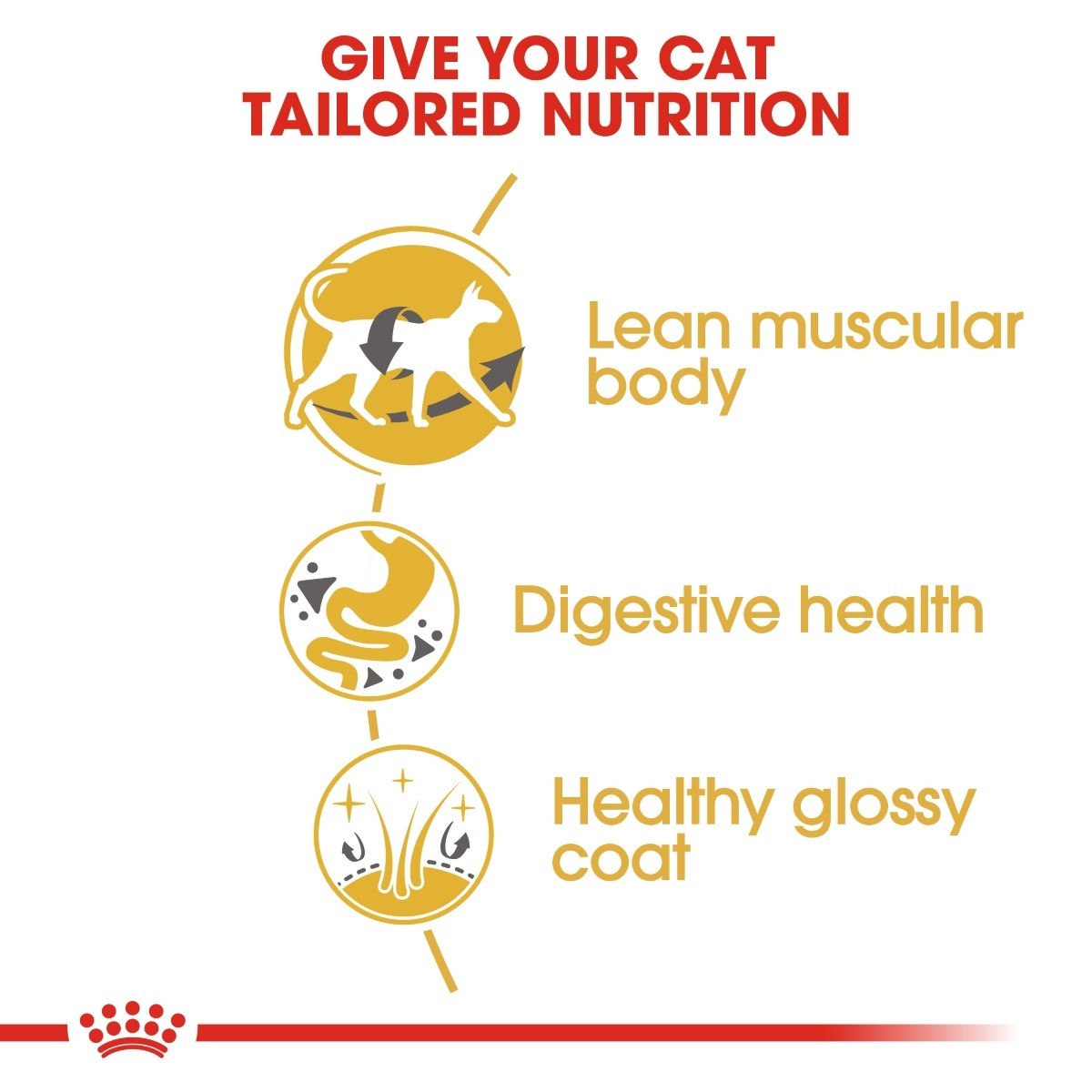 Royal Canin Siamese Adult Cat Food - Targa Pet Shop