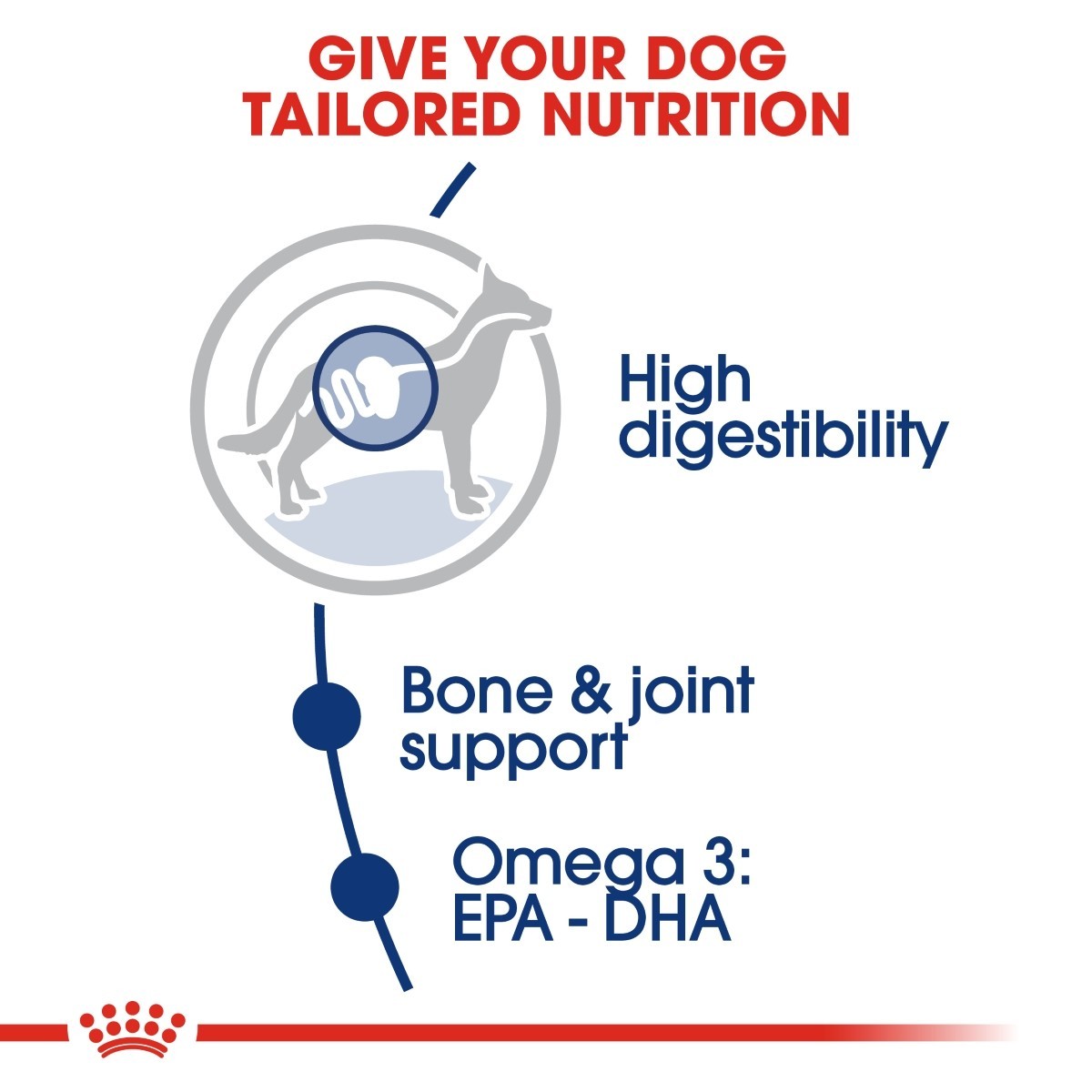 Royal Canin Maxi Adult Dry Dog Food - Targa Pet Shop