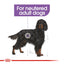 Royal Canin Maxi Sterilised Care Dry Dog Food - Targa Pet Shop