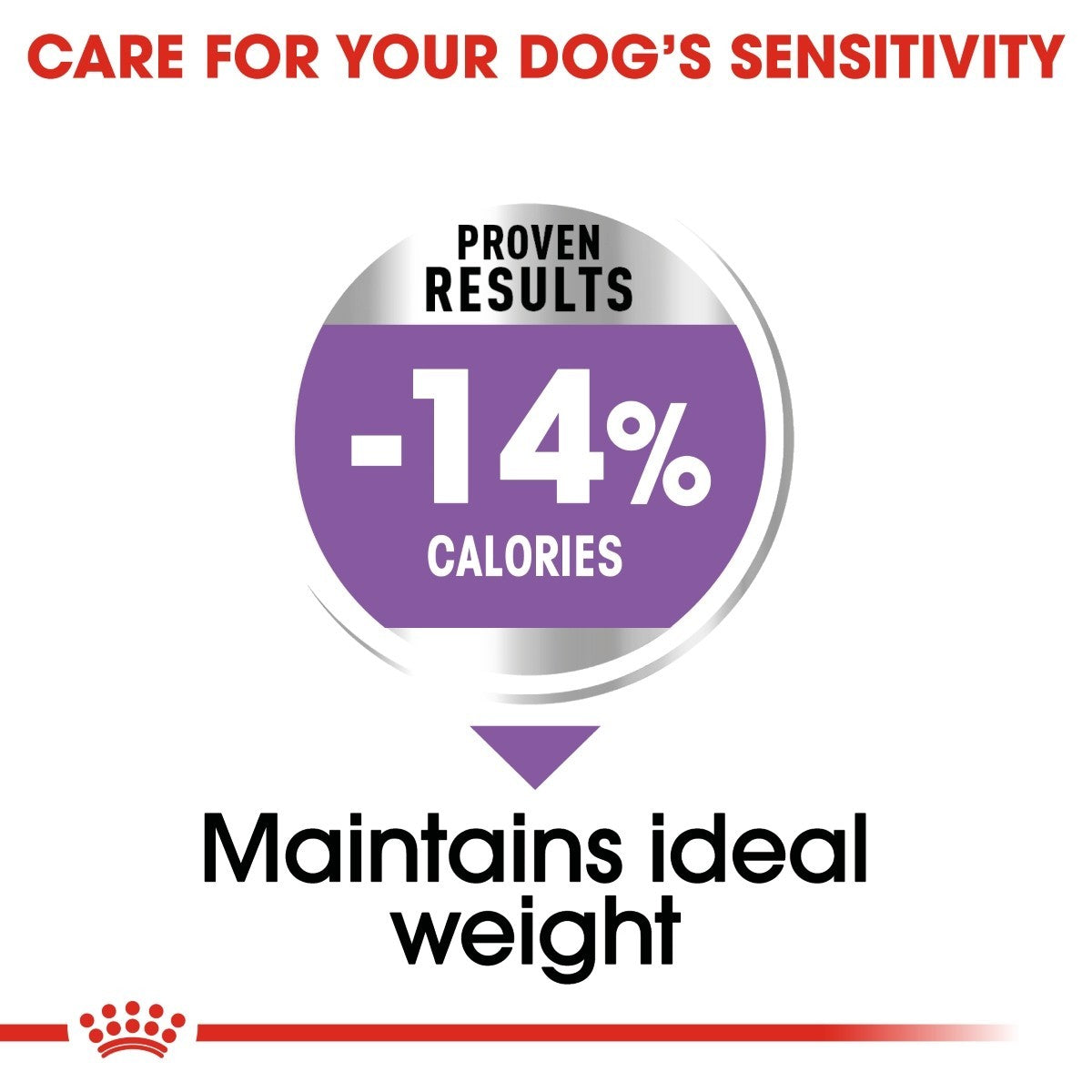 Royal Canin Mini Sterilised Care Dry Dog Food - Targa Pet Shop